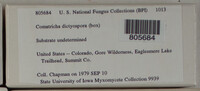 Image Associated With the Occurence